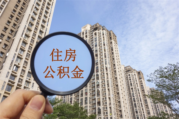 苍南怎么取住房住房公积金（取住房公积金方法）